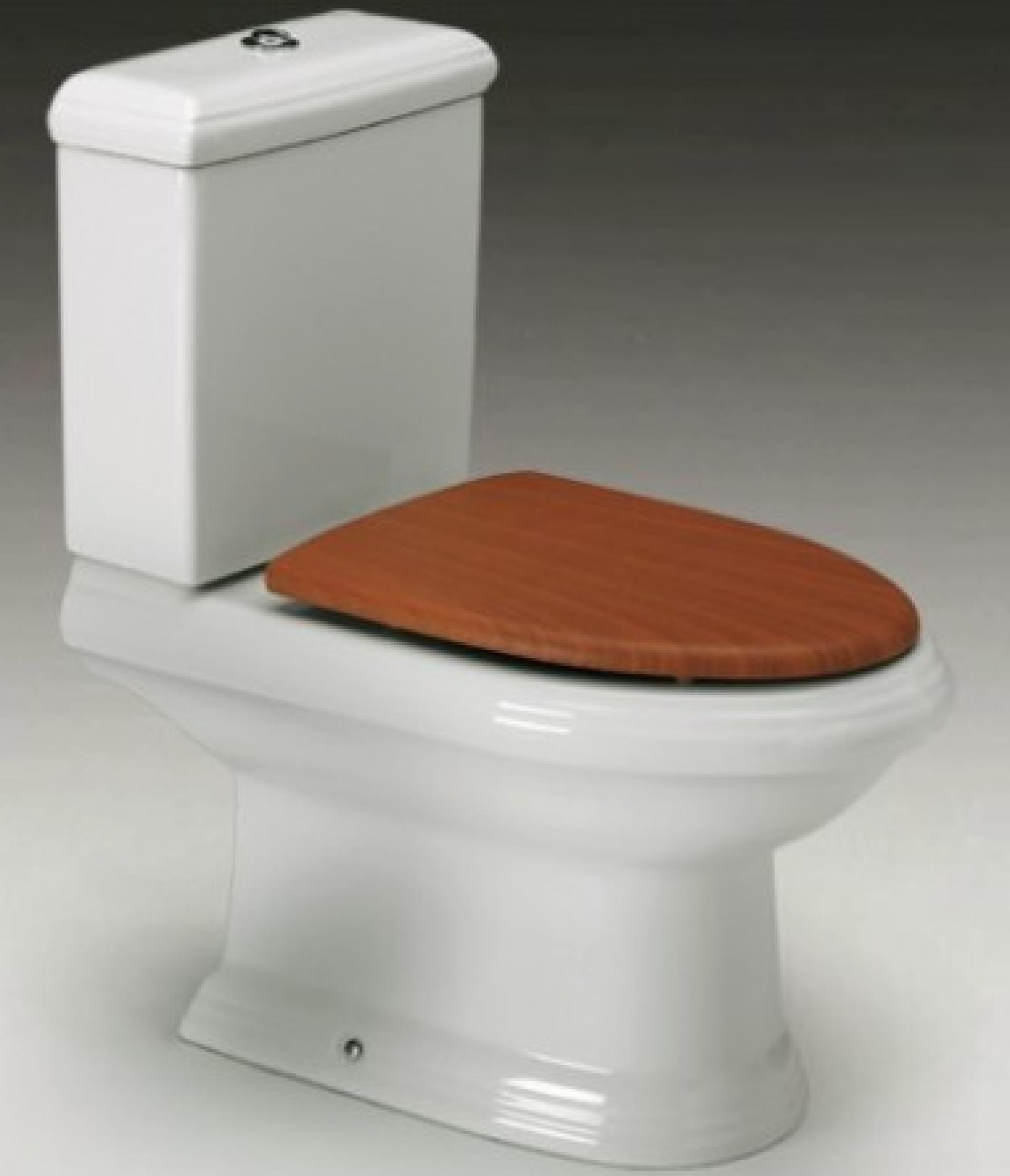 Фото: Крышка-сиденье для унитаза Roca America 801490M14, цвет вишня Roca в каталоге